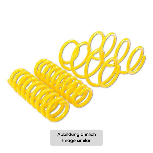 ST 28210391 Suspension Set, springs