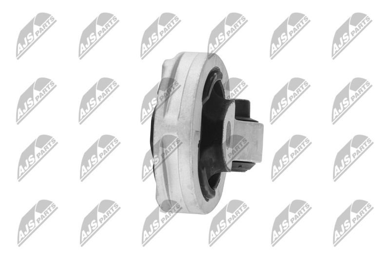 Paigutus, Mootor, NTY ZPS-FT-042