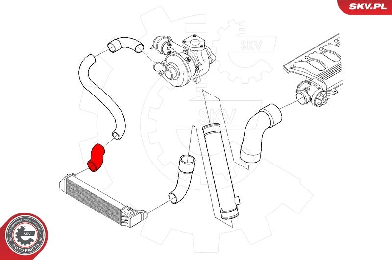 ESEN SKV 24SKV530 Charge Air Hose