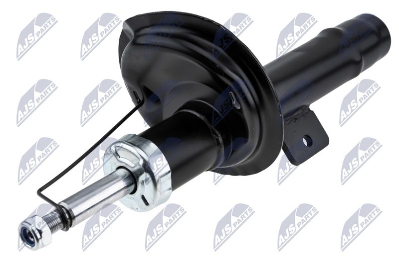 Amort, NTY A-CT-020