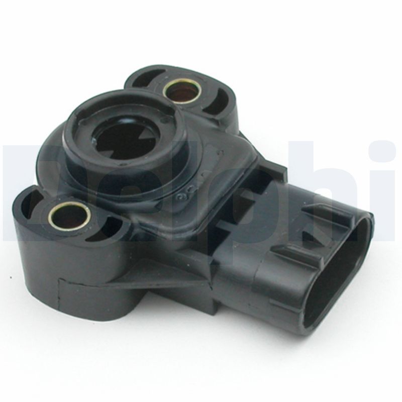 SS10404.JPG