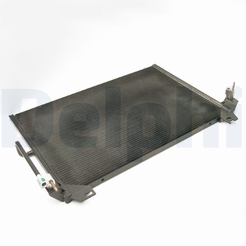 CF20007.JPG