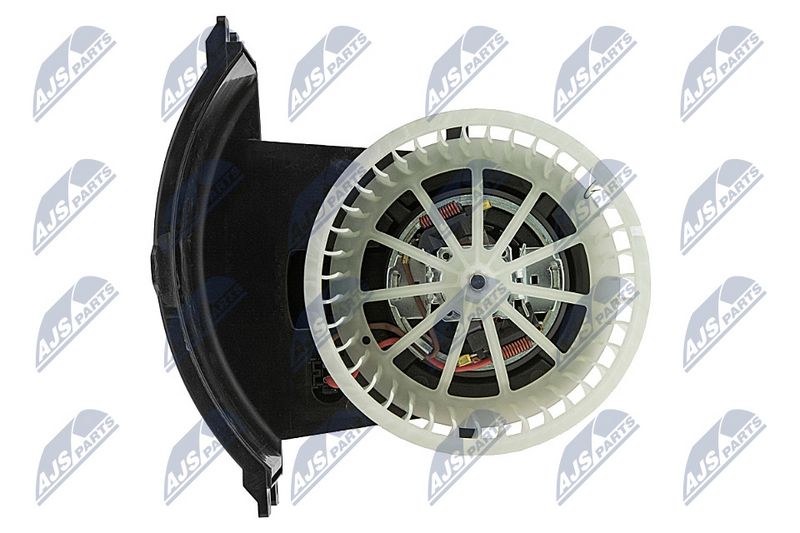 Salongipuhur, NTY EWN-WW-015