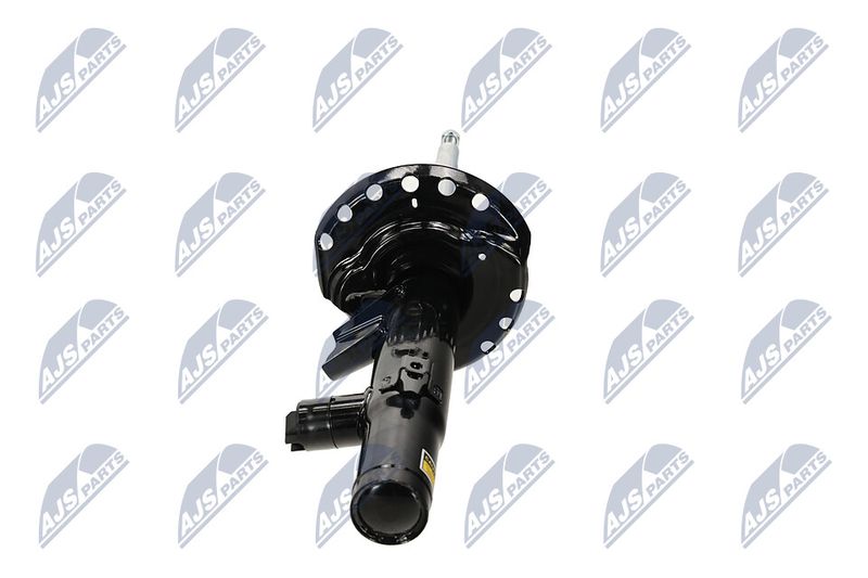 Amort, NTY A-LR-032