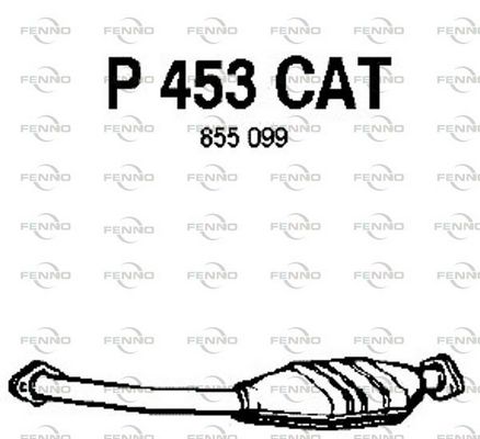 P453CAT.JPG