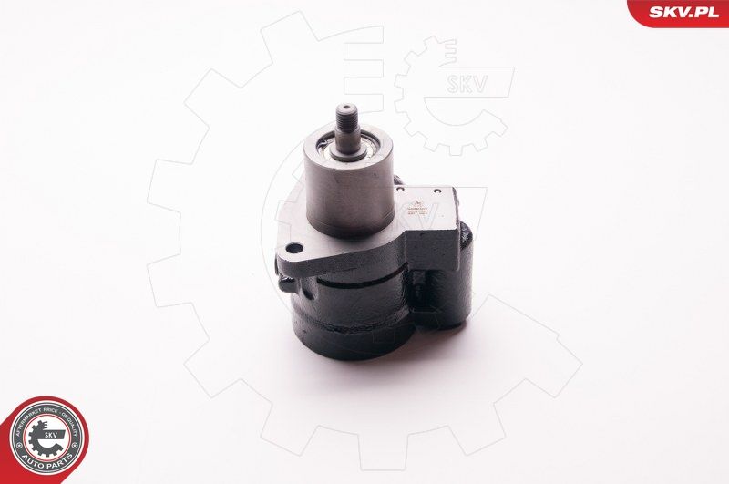 ESEN SKV 1SKV0011 Hydraulic Pump, steering