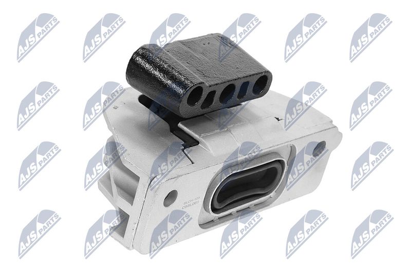 Paigutus, Mootor, NTY ZPS-CH-103