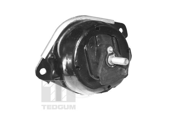 TEDGUM TED40414 Mounting, engine