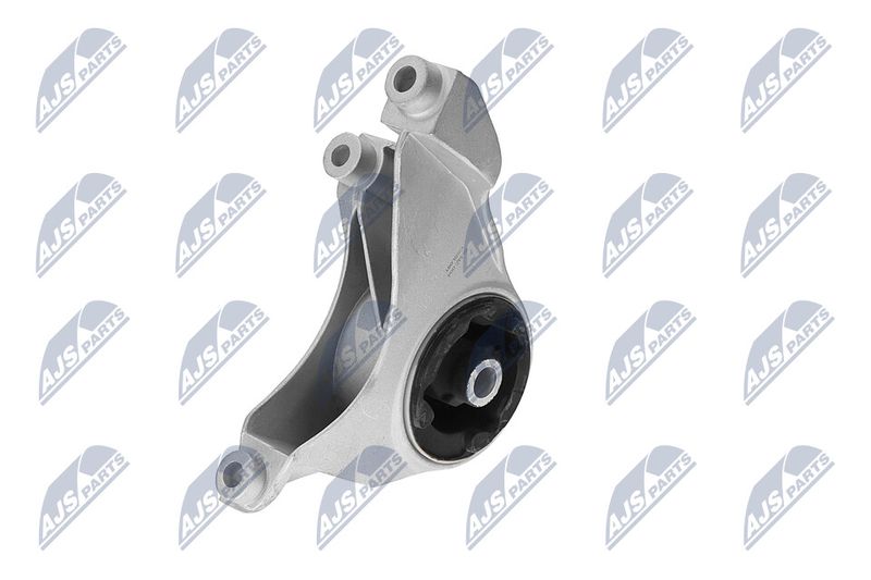 Paigutus, Mootor, NTY ZPS-CH-149