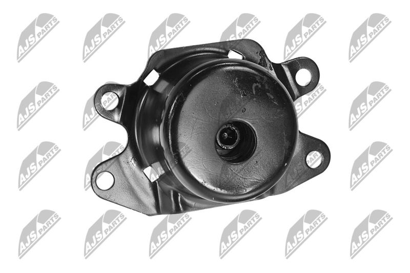 Paigutus, Mootor, NTY ZPS-PL-053
