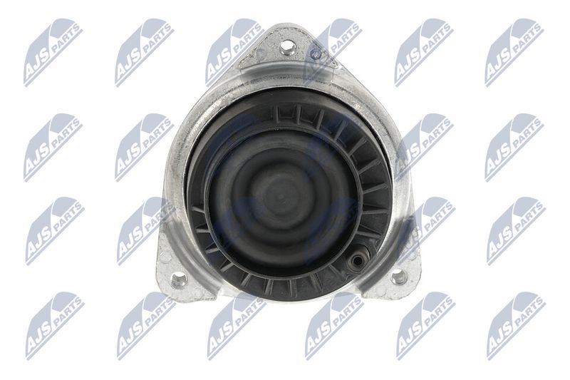 Paigutus, Mootor, NTY ZPS-BM-048