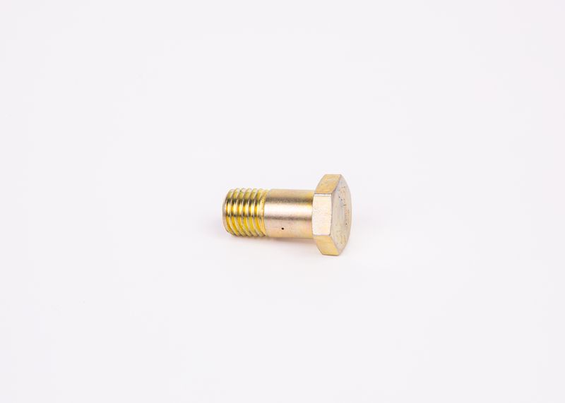 Surub F 002 D13 579 BOSCH