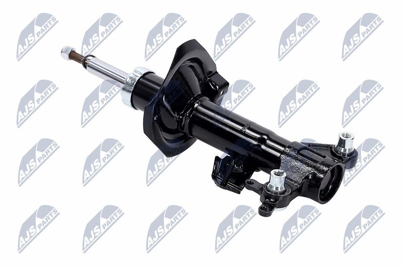 Amort, NTY A-NS-015