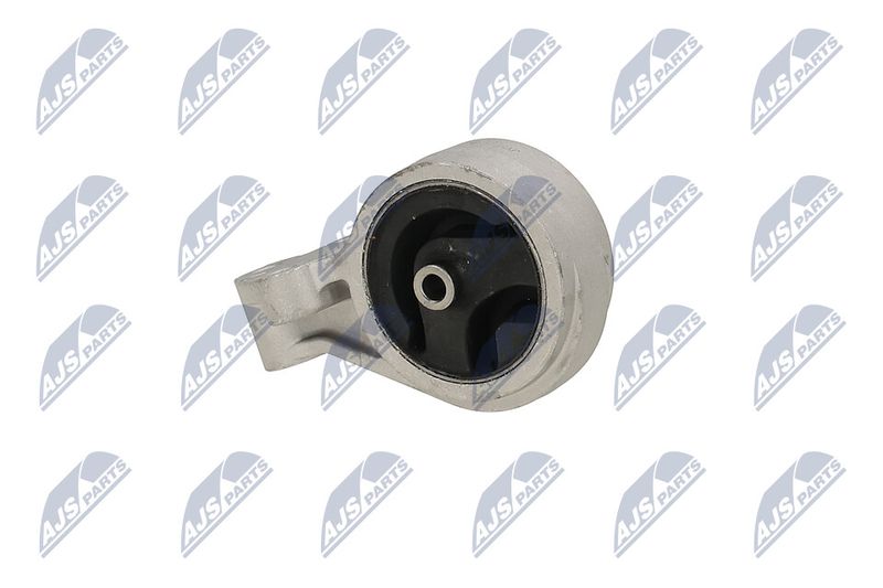 Paigutus, Mootor, NTY ZPS-MS-016