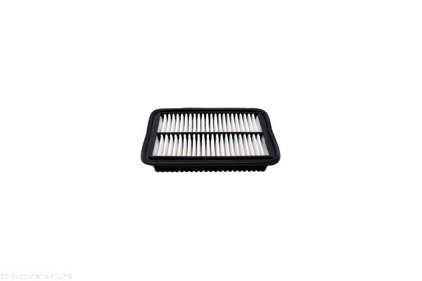 AUTOMEGA 250051810 Air Filter
