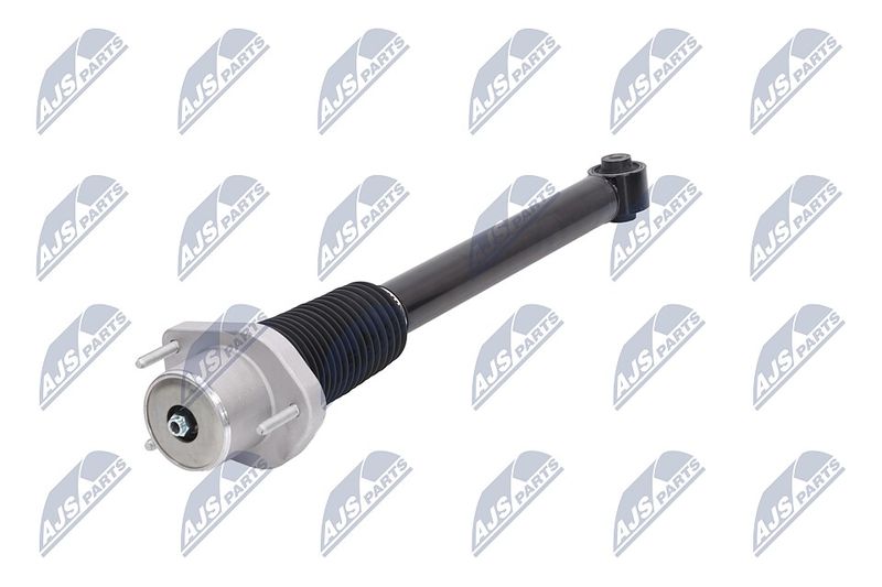 Amort, NTY A-LR-015