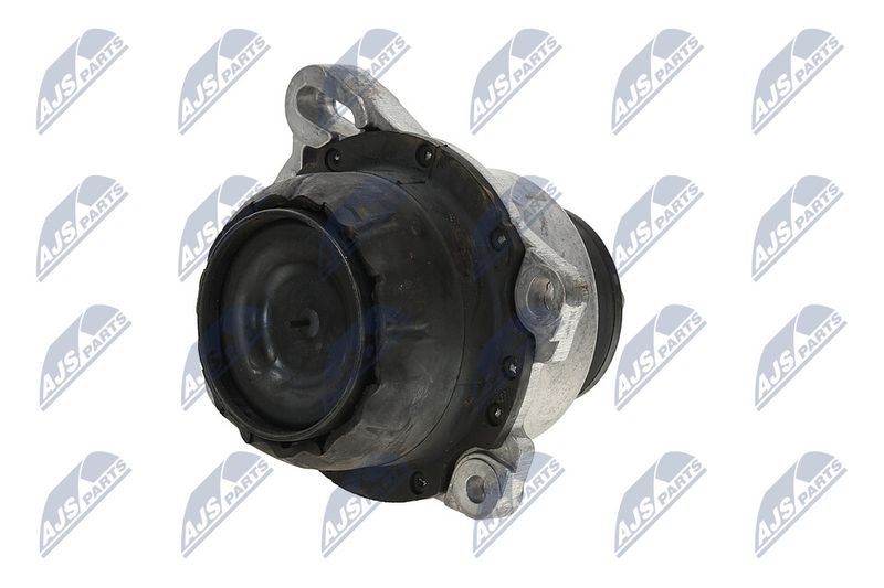 Paigutus, Mootor, NTY ZPS-FR-013