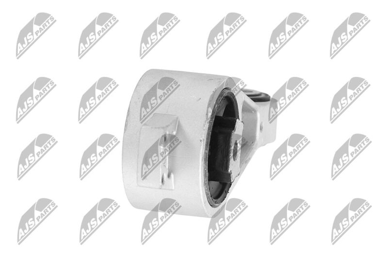 Paigutus, Mootor, NTY ZPS-CH-056