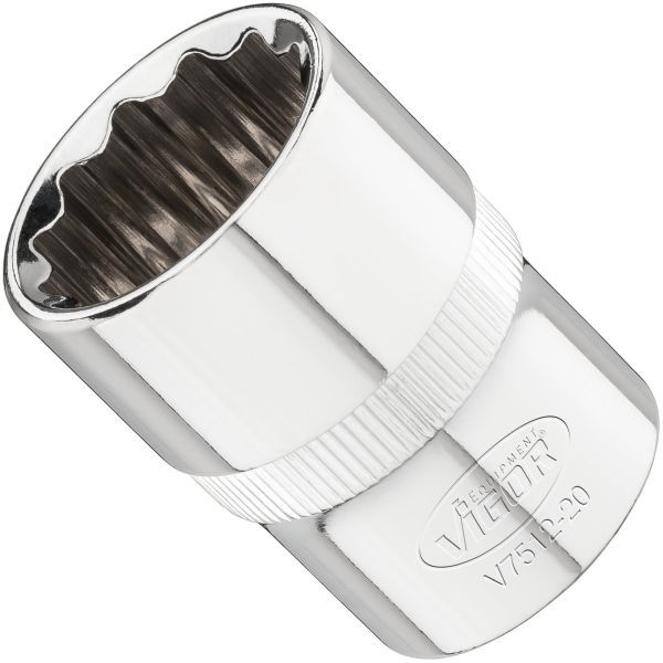 Padrun, VIGOR V7512-20