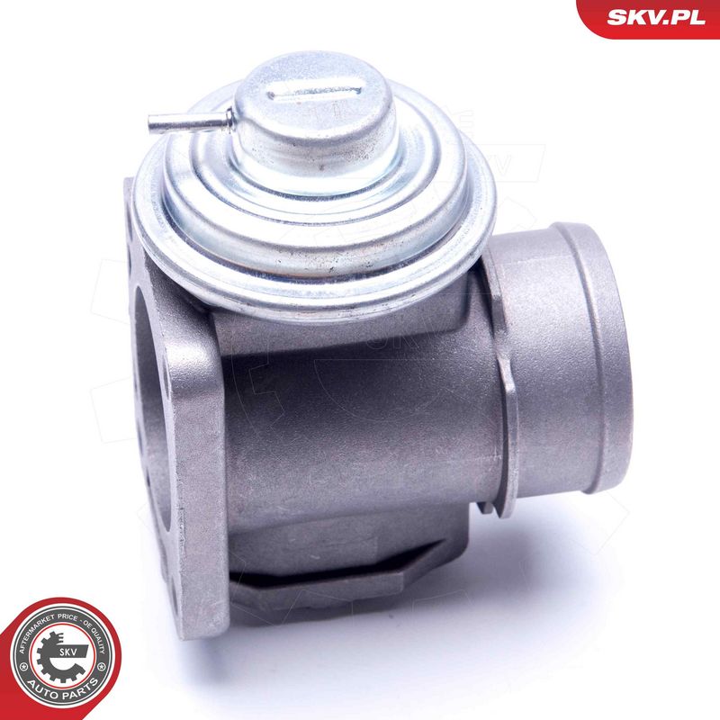 EGR-klapp, ESEN SKV 14SKV174