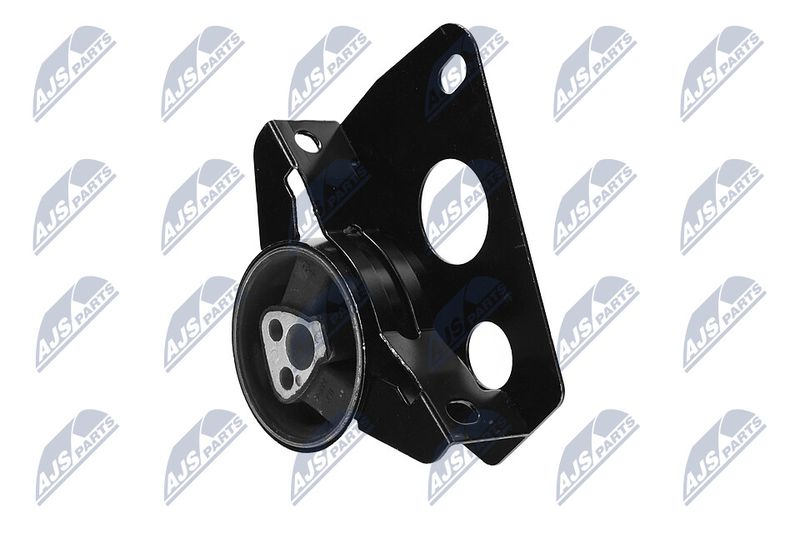 Paigutus, Mootor, NTY ZPS-DW-007