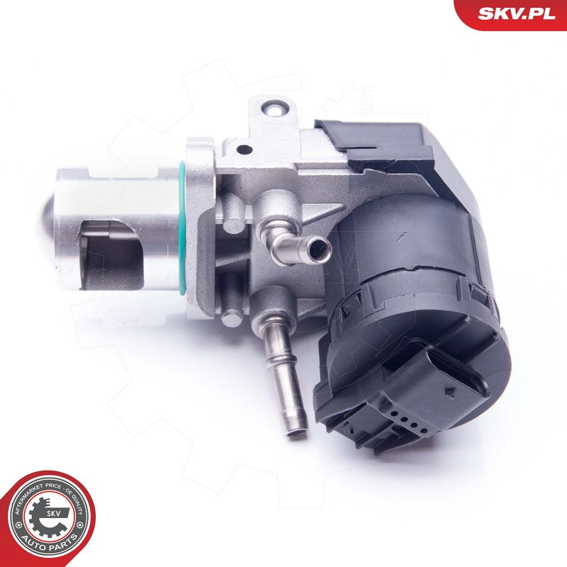 EGR-klapp, ESEN SKV 14SKV169