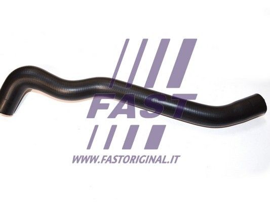 FT61049_1_1.JPG