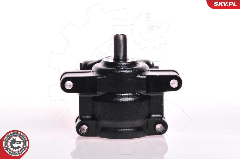 ESEN SKV 10SKV111 Hydraulic Pump, steering