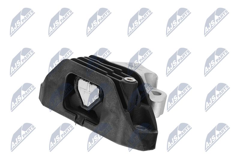 Paigutus, Mootor, NTY ZPS-CH-165