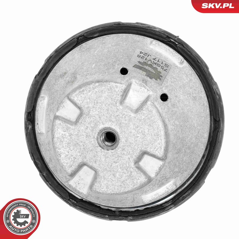 Paigutus, Mootor, ESEN SKV 75SKV128