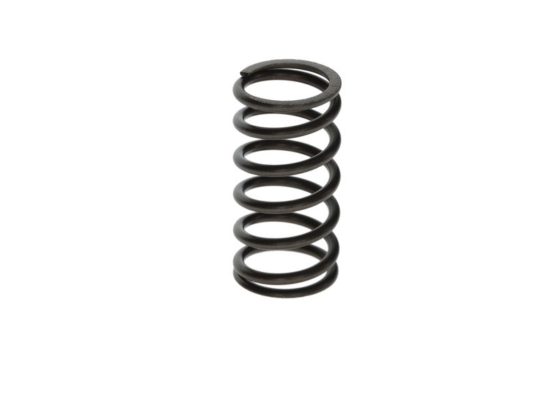 BOSCH F00N201853 Spring