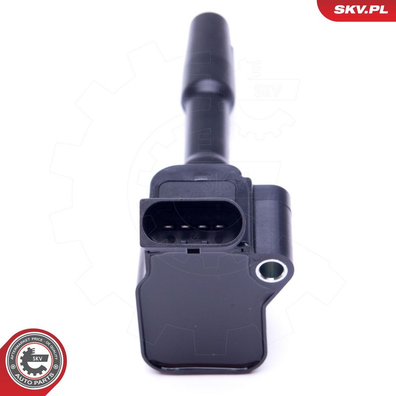 ESEN SKV 03SKV290 Degimo ritė