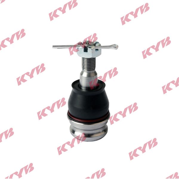 KYB-KBJ4438.JPG