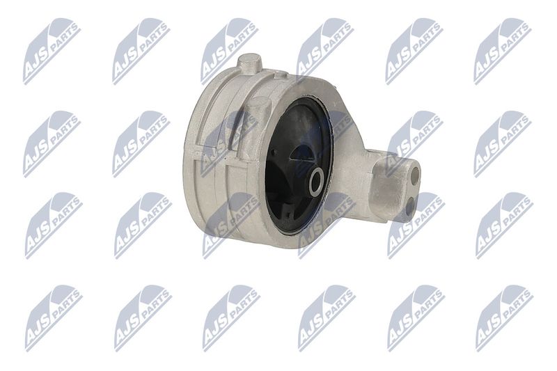Paigutus, Mootor, NTY ZPS-MS-039