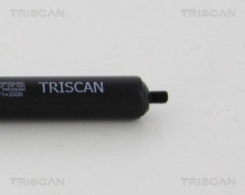 TRIS8710819207200_3.JPG