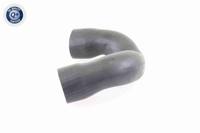 VAICO V10-3821 Charge Air Hose