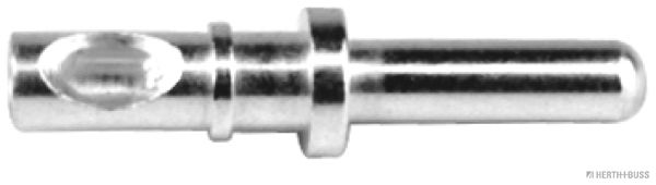 50253915.JPG