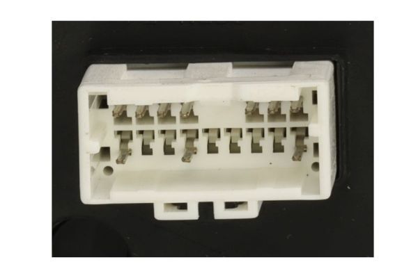 BLIC 5402-20-1729317P Exterior Mirror