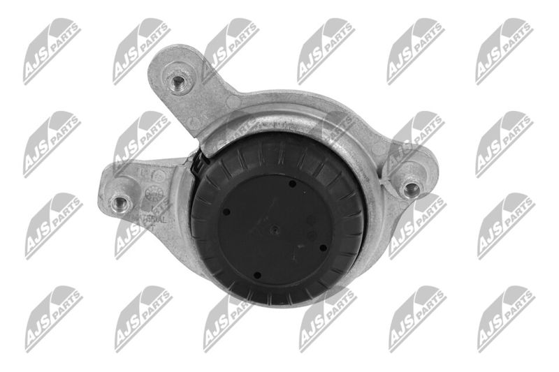 Paigutus, Mootor, NTY ZPS-ME-018