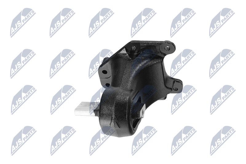 Paigutus, Mootor, NTY ZPS-CH-173