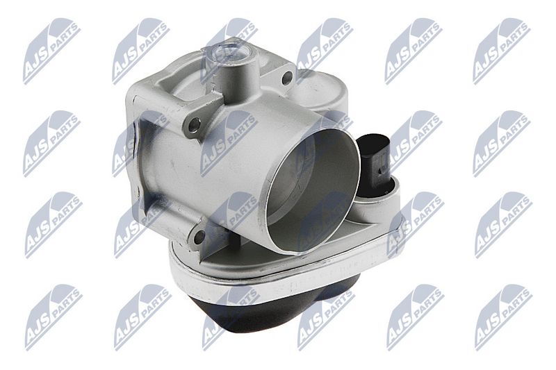 etb-vw-011_1-wm.JPG