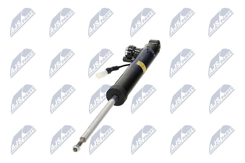 Amort, NTY A-PL-065