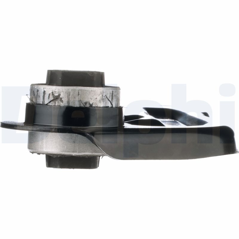DELPHI TC3843 Control/Trailing Arm, wheel suspension