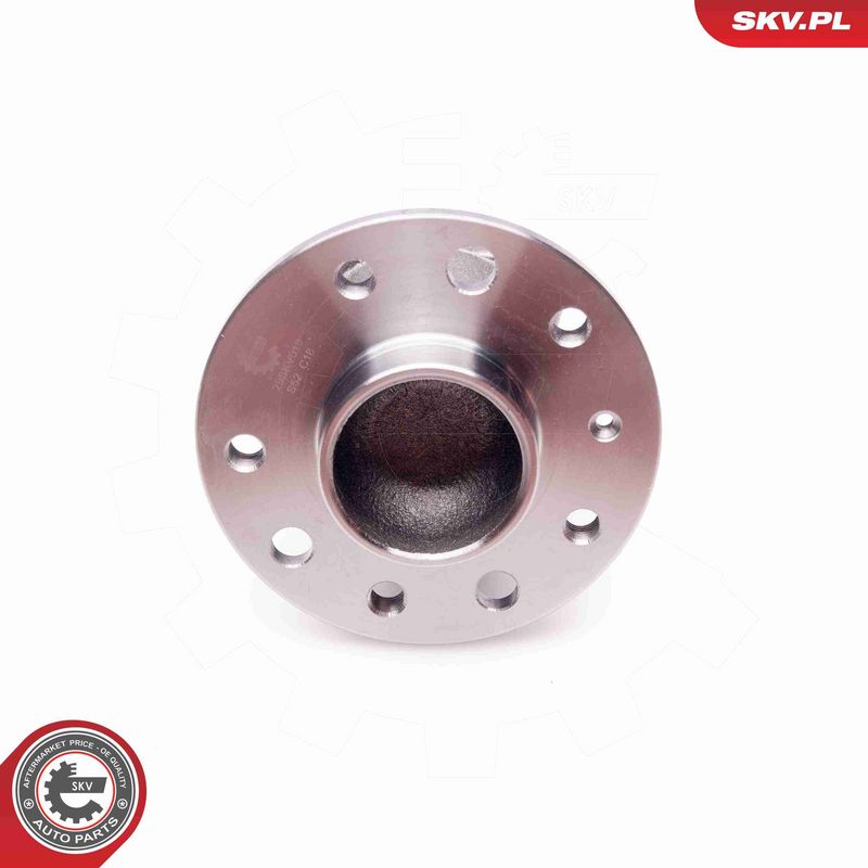 ESEN SKV 29SKV018 Wheel Bearing Kit