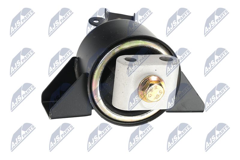 Paigutus, Mootor, NTY ZPS-DW-010