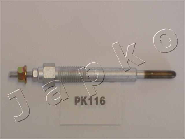 PK116_1.JPG