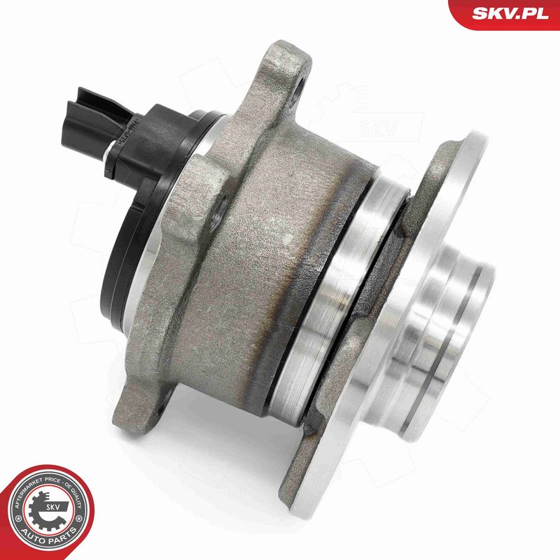 ESEN SKV 29SKV691 Wheel Bearing Kit