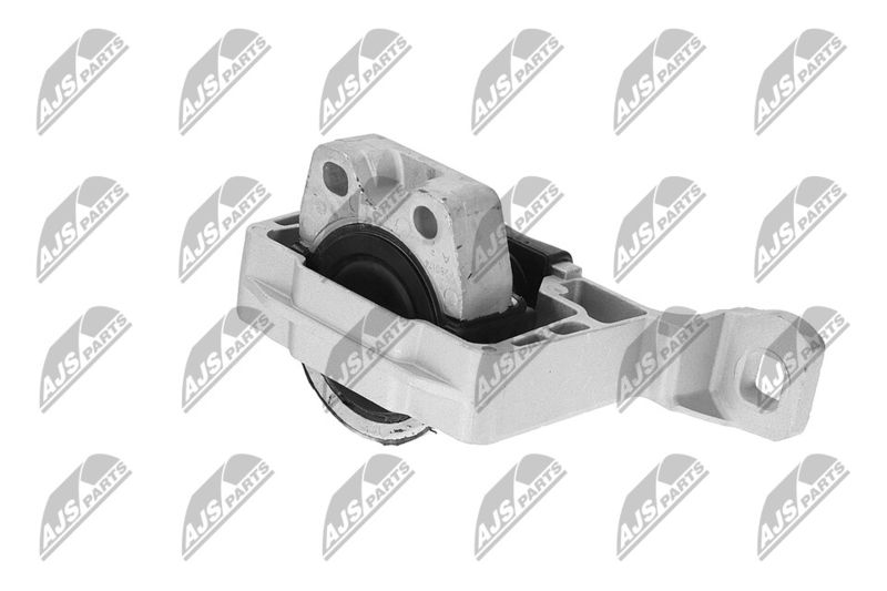 Paigutus, Mootor, NTY ZPS-FR-045