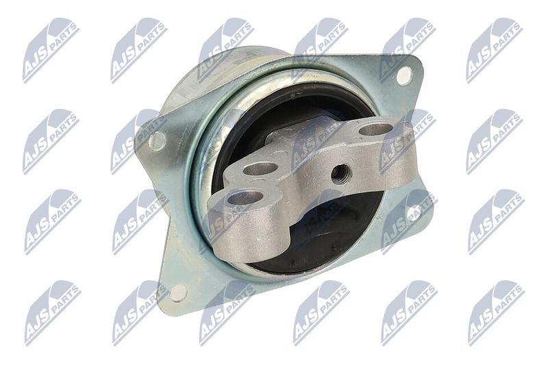 Paigutus, Mootor, NTY ZPS-PL-049