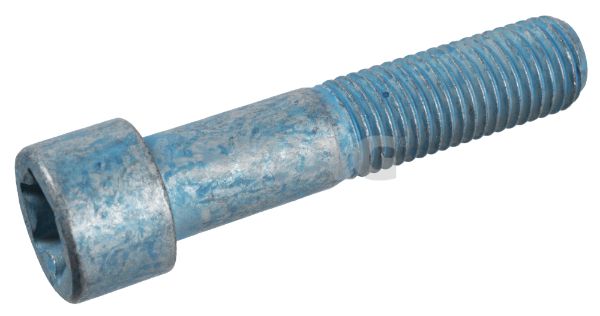 33 10 0840_1.JPG